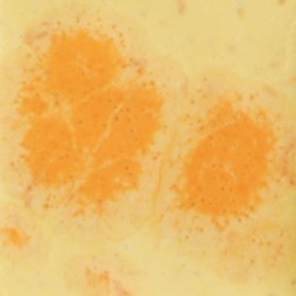 Citrus Splash - 16 oz Mayco Crystal Glaze Citrus Splash - 16 oz Mayco Crystal Glaze
